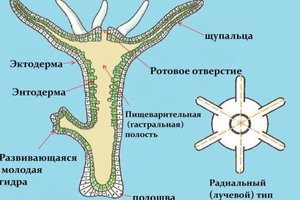 Кракен площадка зеркало