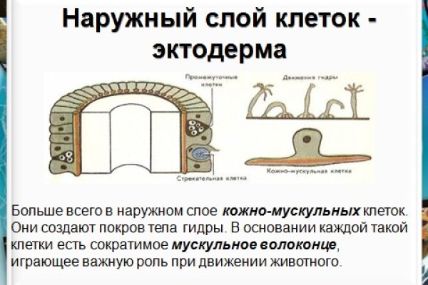 Рабочие ссылки на кракен 2025