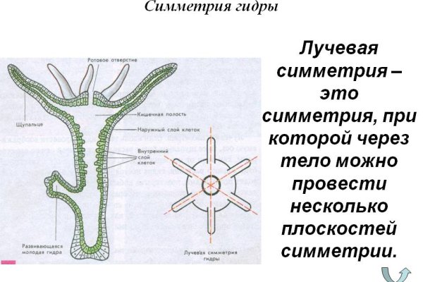 Рабочие ссылки на кракен 2025